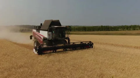 The combine harvester cleans wheat fields. Harvesting, Shooting from a drone Stock Footage 220601006