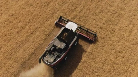 The combine harvester cleans wheat fields. Harvesting, Shooting from a drone Stock Footage 220862512