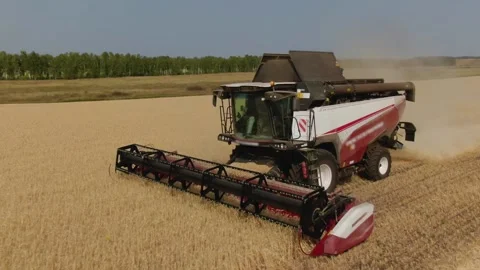 The combine harvester cleans wheat fields. Harvesting, Shooting from a drone Video stock 221820110