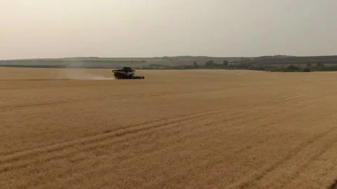 The combine harvester cleans wheat fields. Harvesting, Shooting from a drone Stock Footage 228052459