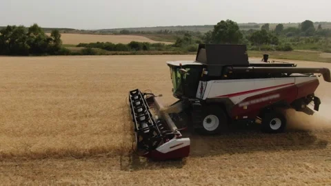 The combine harvester cleans wheat fields. Harvesting, Shooting from a drone Video stock 228052678