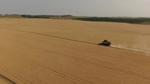 The combine harvester cleans wheat fields. Harvesting, Shooting from a drone Video stock 228052878