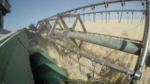 Combine harvester close-up Stock Footage 292236561
