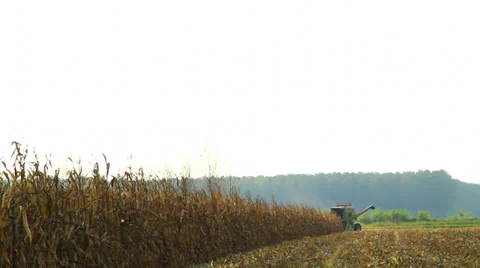 Combine harvester corn Vídeos de archivo 32151995