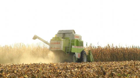 Combine harvester corn 스톡 동영상 32152004
