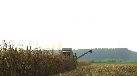 Combine harvester corn Video stock 32181438