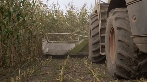 Combine harvester corn Stock Footage 141740065