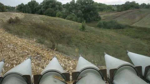 Combine harvester at cornfield Video stock 65729865