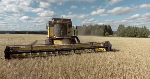 A combine harvester on the cornfield Stock Footage 71071287