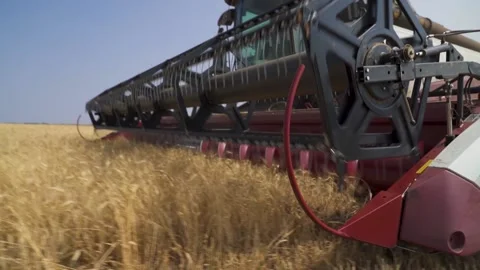 Combine harvester with cutter platform at work. Side view of head cabin Stock Footage 220600934