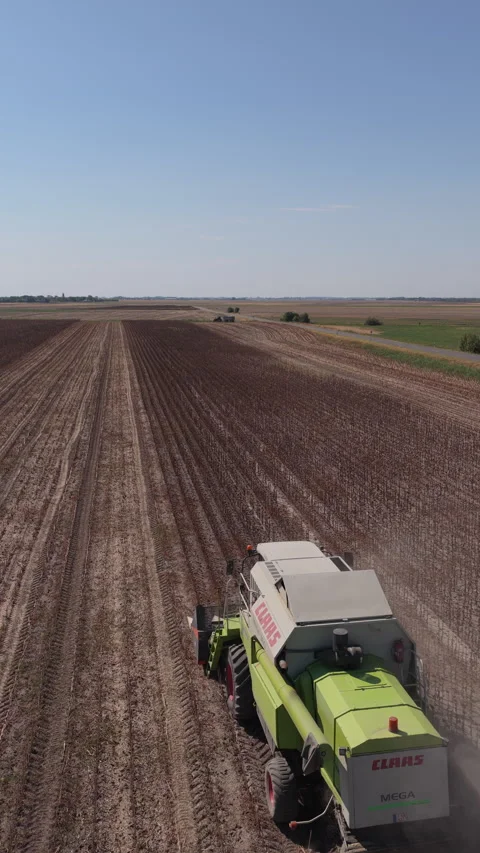 Combine harvester cutting dry cornfield, rural Hungary farm, Drone Push Forward Vídeos de archivo 346339934