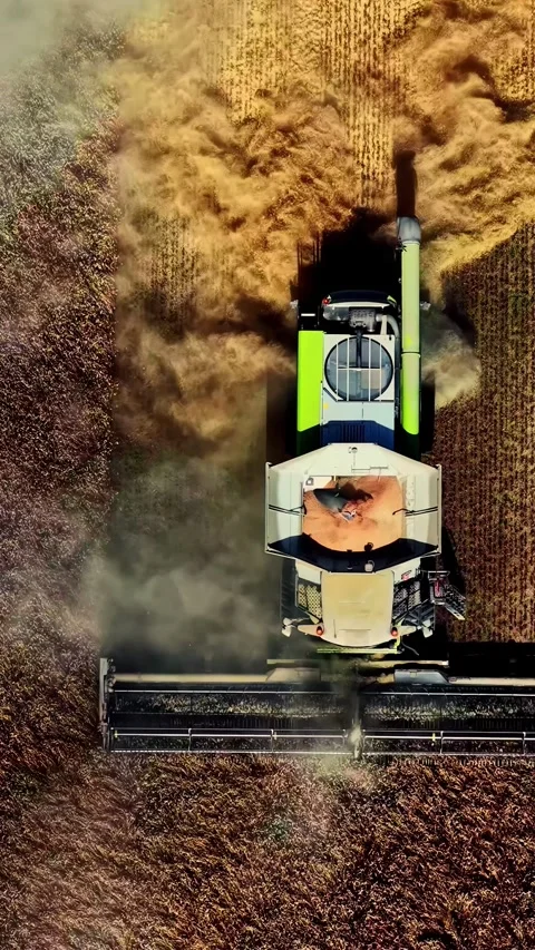Combine Harvester Cutting Through Wheat Field Creating Dust Clouds Stock Footage 336468411