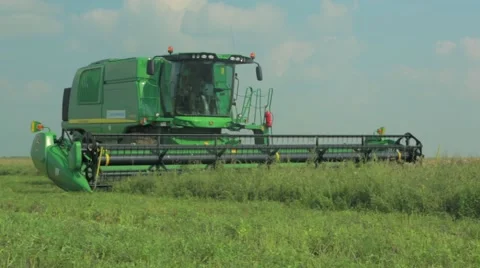 Combine harvester cutting wheat in field Stock Footage 48768833
