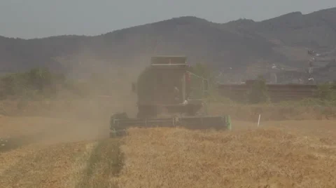 Combine Harvester cutting wheat Stock Footage 55015343