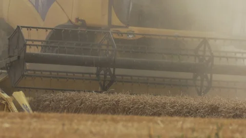Combine harvester cutting wheat Stock Footage 106391394