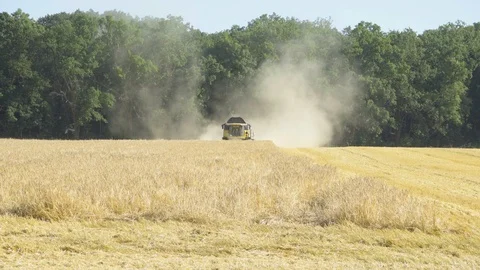 A combine harvester drives down a large grain field. Video stock 124639137