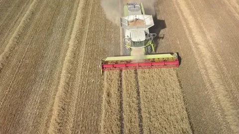 Combine harvester drone from top Stock Footage
