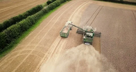 Combine harvester dumping crops into tractor Stock Footage 88893409