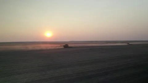 Combine Harvester at Dusk Stock Footage 263036098