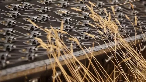 Combine harvester with ears of wheat. Clode-up Stock Footage 73061995