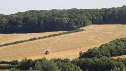 Combine harvester on English corn fields Chiltern Hills UK Stock Footage 95739995
