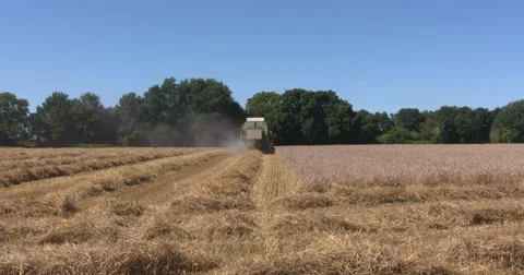 Combine harvester in field - off camera Stock Footage 67188803