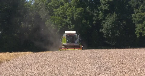 Combine harvester in field - on camera Video stock 67189853