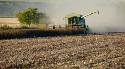 Combine harvester in field Video stock 67280224