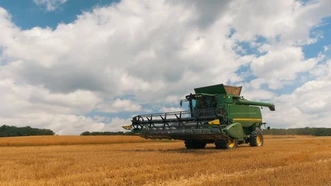 Combine harvester on the field Stock Footage 95392804