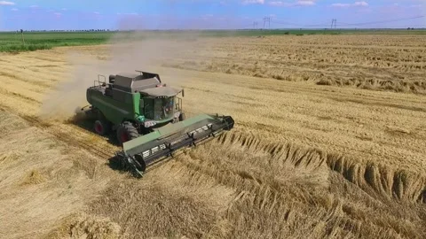 Combine harvester on field Stock Footage 136507730
