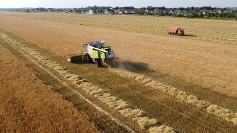 Combine harvester on the field Stock Footage 164611407