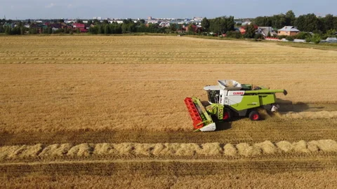Combine harvester on the field Stock Footage 164616328