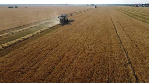 Combine harvester on the field Stock Footage 164617824
