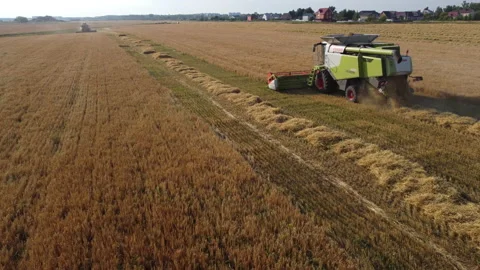 Combine harvester on the field Stock Footage 164618742