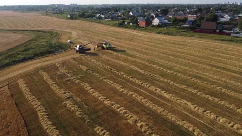 Combine harvester on the field Stock Footage 164618884