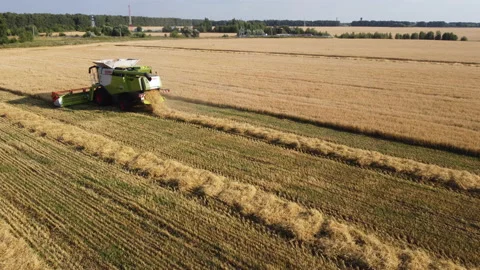 Combine harvester on the field Stock Footage 164627538
