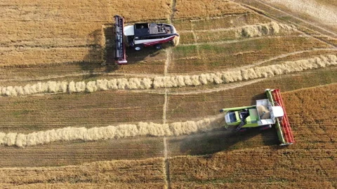 Combine harvester on the field Stock Footage 164674860