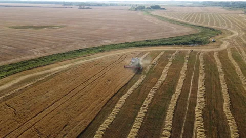 Combine harvester on the field Stock Footage 164675034