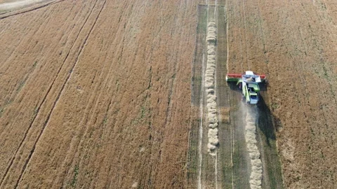 Combine harvester on the field Stock Footage 164675310