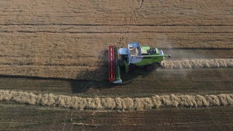 Combine harvester on the field Stock Footage 164675334