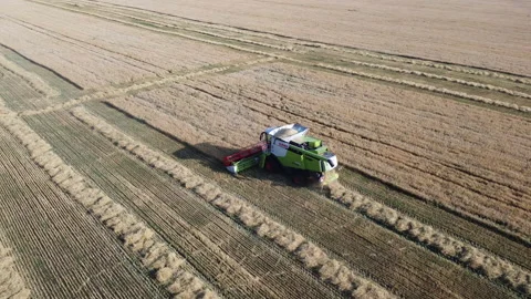 Combine harvester on the field Stock Footage 164696750