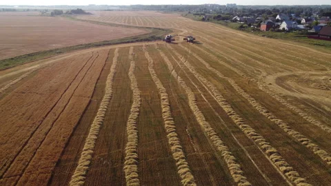 Combine harvester on the field Stock Footage 164699776