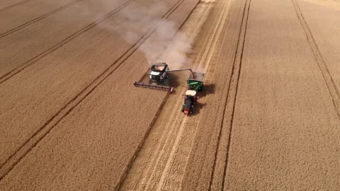 Combine harvester in a field Stock Footage 249512272