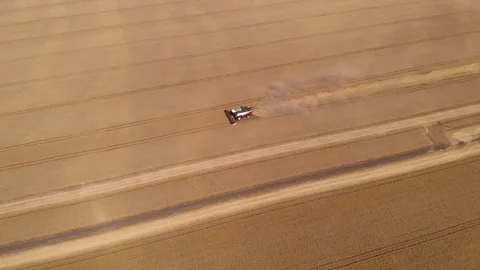 Combine harvester in a field Stock Footage 249512675