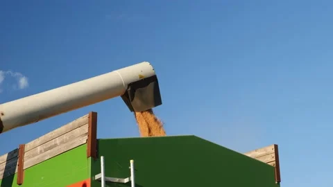 Combine harvester on field of wheat 스톡 동영상 158455366