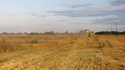 Combine harvester on field of wheat 库存影片 160520199