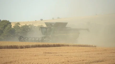 Combine Harvester filmed in slow motion during summer harvest uk Stock Footage
