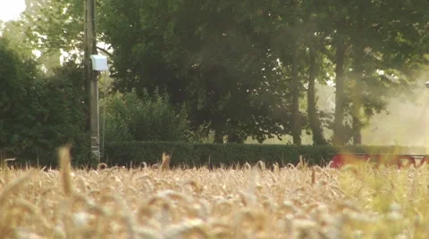 Combine Harvester Stock Footage 2184335
