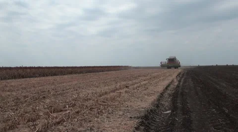 Combine harvester 스톡 동영상 31030171