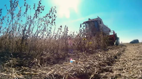 Combine harvester Video stock 44456630